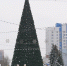 Новогодняя елка на пл. Сахарова / Фото: Екатерина Смолихина / amic.ru - ИА Амител