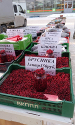 В Ленинском районе прошел межведомственный рейд по пресечению несанкционированной торговли