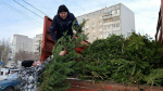 Акция по сбору новогодних елок / Фото: barnaul.org
