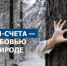 Алтайэнергосбыт: электронная квитанция сэкономит время и сохранит деревья - Сетевое издание Толк