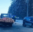 Две женщины и четырехлетний ребенок пострадали в ДТП на Чуйском тракте - Сетевое издание Толк