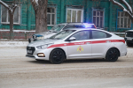 Похитителя леопардовой шубы поймали в Новоалтайске