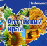 Фото: Минэкономразвития Алтайского края - НИА Алтай