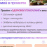 Здоровое поколение 1.png - Управление по образованию