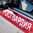 Полиция и Росгвардия наведались в Дом народов в центре Барнаула из-за коробки в урне - Сетевое издание Толк