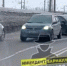 Фото: скрин видео - Алтайская правда