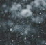 Фото: unsplash.com - Алтайская правда