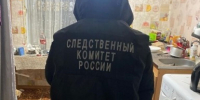 В Алтайском крае мужчина застрелил из ружья сожительницу и ранил друга - Сетевое издание Толк
