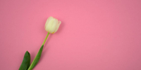 Фото: unsplash.com - Алтайская правда