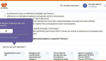 Более 200 заявок поступило на участие в программе «Алтай – земля героев»