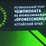 В Алтайском крае начал работу региональный этап чемпионата по профессиональному мастерству «Профессионалы» - Телеканал Катунь 24