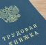 Алтайский край занял 72-е место в рейтинге регионов по уровню безработицы - Сетевое издание Толк