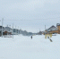 Коттеджный поселок в пригороде Барнаула / Фото: Екатерина Смолихина / amic.ru - ИА Амител