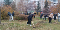 Фото:  мэрия Барнаула - Алтайская правда