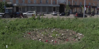 В Рубцовске расширят площади, где нужно выкашивать сорную траву - ГТРК Алтай