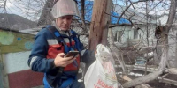Энергетикам Республики Алтай пришлось отключить линию, чтобы спасти кота - Barneos22.ru