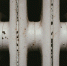 Фото: Julian Hochgesang / unsplash.com - ИА Амител