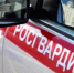 Фото: Росгвардия - Алтайская правда