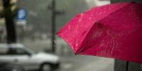 Фото: unsplash.com - Алтайская правда