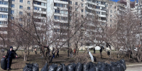 Какие экологические акции прошли в Центральном районе в «чистый четверг» - Администрация г. Барнаул