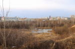 Территория будущего парка на ул. Шумакова, 9