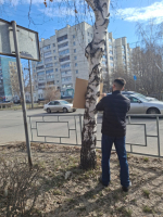 Муниципальные служащие продолжают следить за санитарным состоянием территории