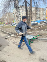 Предприятия потребительского рынка принимают участие в месячнике санитарной очистки и благоустройства