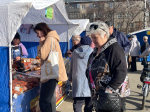 В сквере имени Германа Титова состоялась продовольственная ярмарка выходного дня