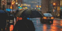 Фото: unsplash.com - Алтайская правда