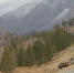 Туризм, турпоток, Алтай / Фото: amic.ru - ИА Амител