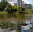 Фото: Barnaul 22 - Алтайская правда