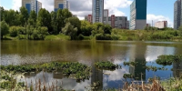 Фото: Barnaul 22 - Алтайская правда