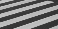 Фото: unsplash.com - Алтайская правда