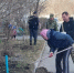 Жители микрорайона «Поток» принимают активное участие в уборке придомовых и общественных территорий - Администрация г. Барнаул
