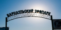 В барнаульском зоопарке рассказали о планах на расширение и новых жильцах - Сетевое издание Толк