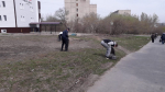 В «чистый четверг» в Ленинском районе прошли экологические акции с участием организаций, студентов, школьников, активных жителей