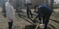 Школьники Барнаула присоединились к акции «Сад памяти» - Комитет по образованию