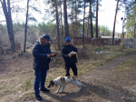 В городе Барнауле продолжается проведение профилактических противопожарных рейдов