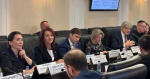 Развитие туризма обсудили за круглым столом в Совете Федерации под руководством сенатора от Алтайского края Натальи Кувшиновой