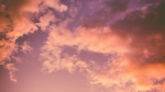Фото: Dewang Gupta / unsplash.com