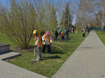 Вячеслав Франк принял участие в общегородском субботнике