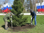 Вячеслав Франк принял участие в общегородском субботнике