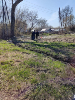К общегородскому субботнику присоединились предприятия Железнодорожного района