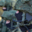 Российские военные / Фото: пресс-служба Минобороны РФ - ИА Амител