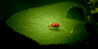 Фото: viswaprem anbarasapandian / unsplash.com - ИА Амител