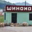 Ямы, цены и скот на трассах: какие дорожные проблемы мешают туризму в Горном Алтае - Сетевое издание Толк