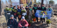 Более 1,5 тысяч жителей Алтайского края высадили 1,3 млн сосен в рамках акции «Сад памяти» - Телеканал Катунь 24