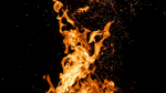 Фото: Tobias Rademacher / unsplash.com