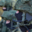 Российские военные / Фото: пресс-служба Минобороны РФ - ИА Амител
