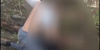 В администрации Горно-Алтайска рассказали о конфликте с избиением школьницы - Сетевое издание Толк